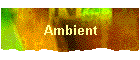 Ambient